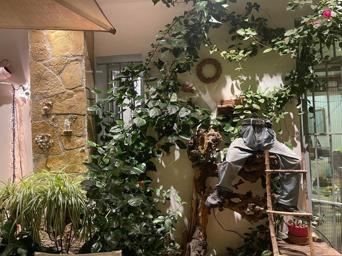 Ferienwohnung Eleonora'S Hidden Gem Athen Exterior foto